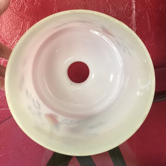 Vtg Hand Painted Parakeets Frosted Glass Ceiling Light Globe - Picture 8 of 9